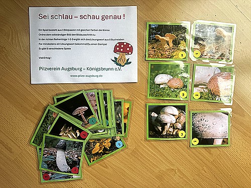 klein1_Schau-genau-Legespiel.jpg desc