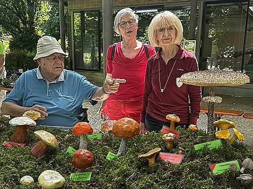 klein1_gute_Platzierung_Parasol.jpg desc